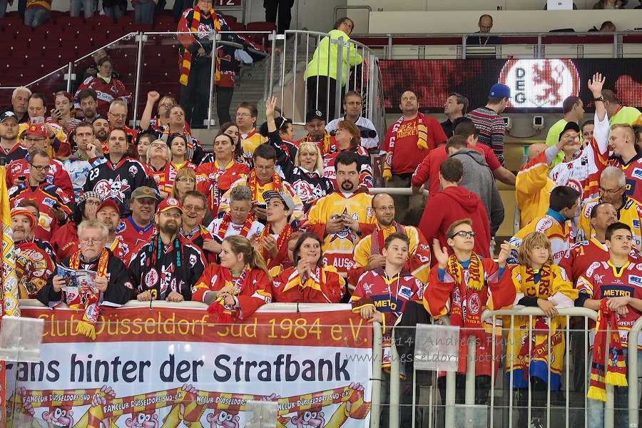 Düsseldorfer EG - Straubing Tigers 6 - 3  03.10.2014