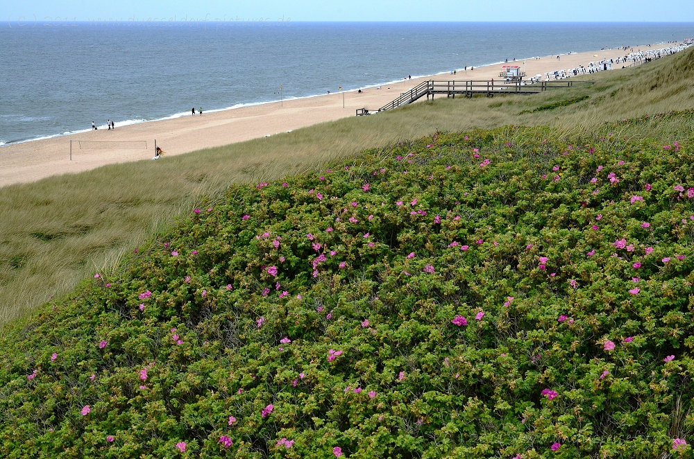 Westerland / Sylt Juni 2011