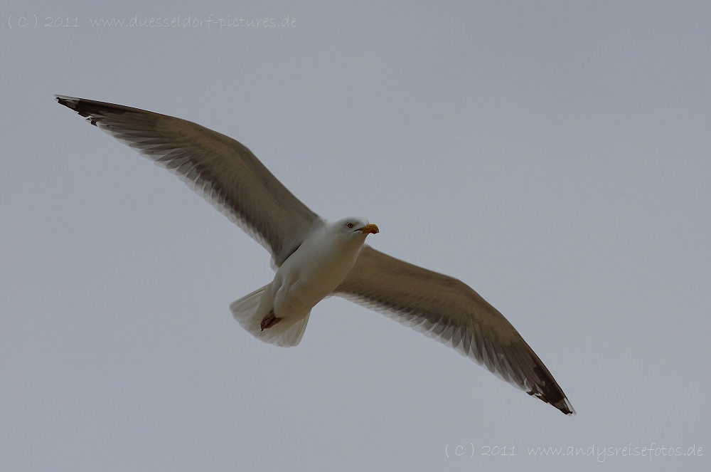 Westerland / Sylt Juni 2011