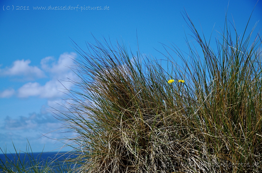 Kampen - Wenningstedt - Hörnum - List  / Sylt Juni 2011