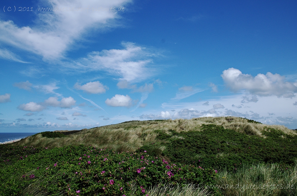 Kampen - Wenningstedt - Hörnum - List  / Sylt Juni 2011