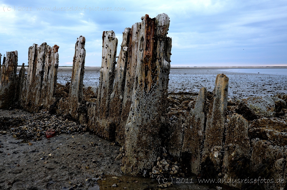 Kampen - Wenningstedt - Hörnum - List  / Sylt Juni 2011