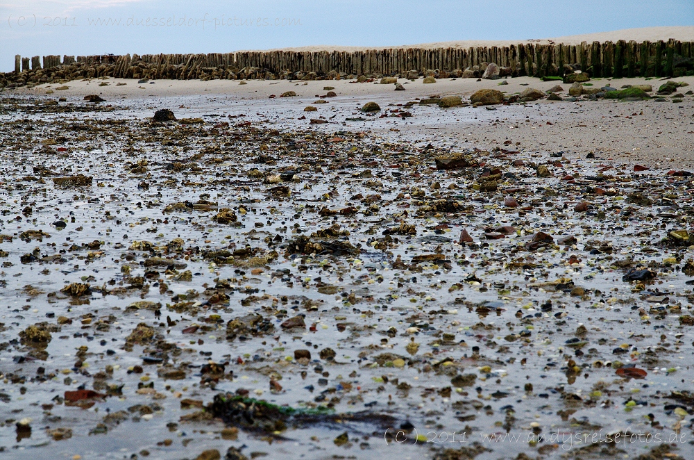 Kampen - Wenningstedt - Hörnum - List  / Sylt Juni 2011