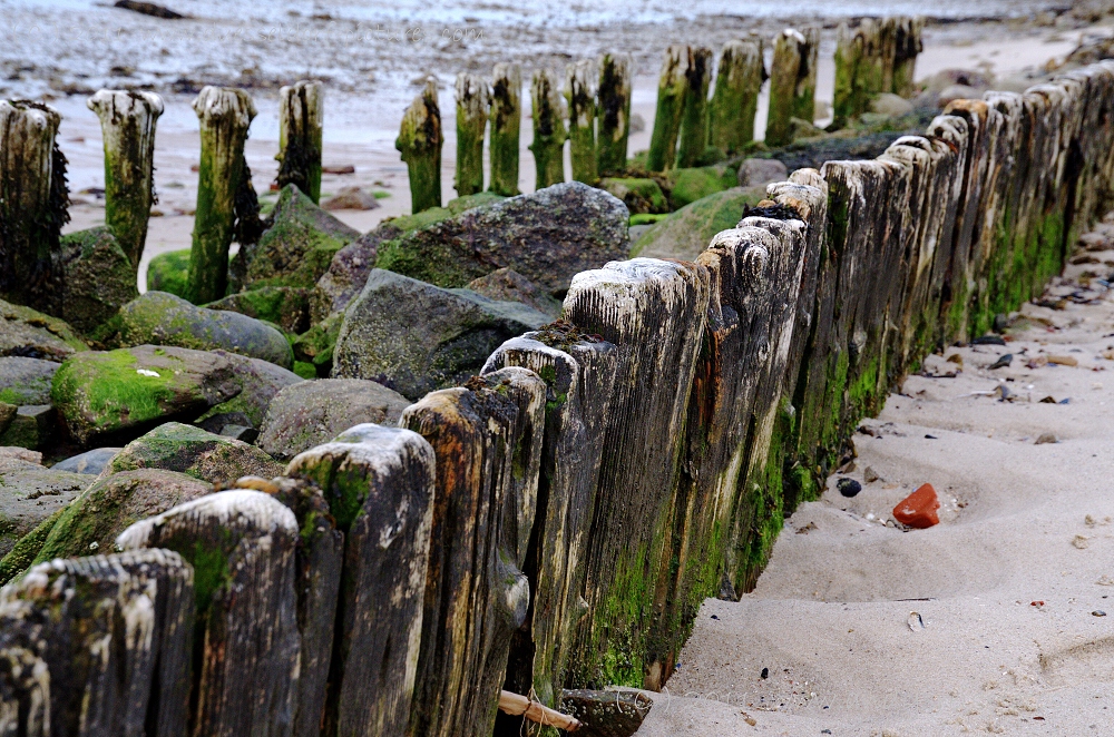 Kampen - Wenningstedt - Hörnum - List  / Sylt Juni 2011