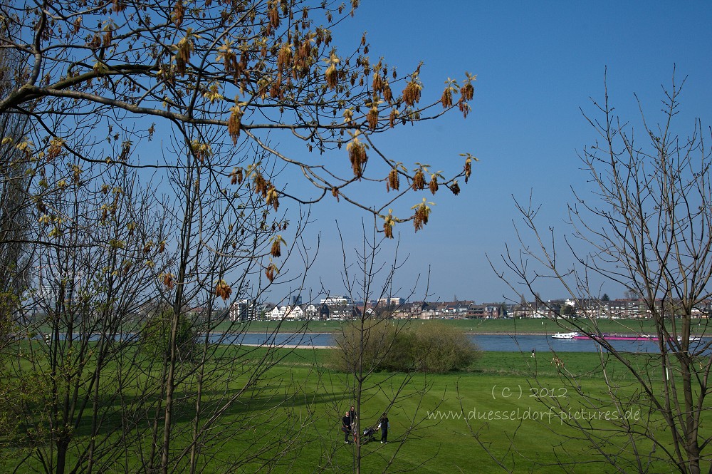 Düsseldorf GSV Golfplatz auf der Lausward ( am Rhein )