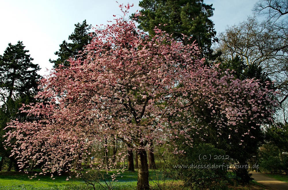 Düsseldorf Schloss / Park Eller