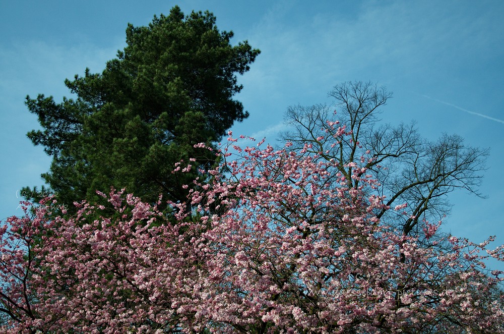 Düsseldorf Schloss / Park Eller