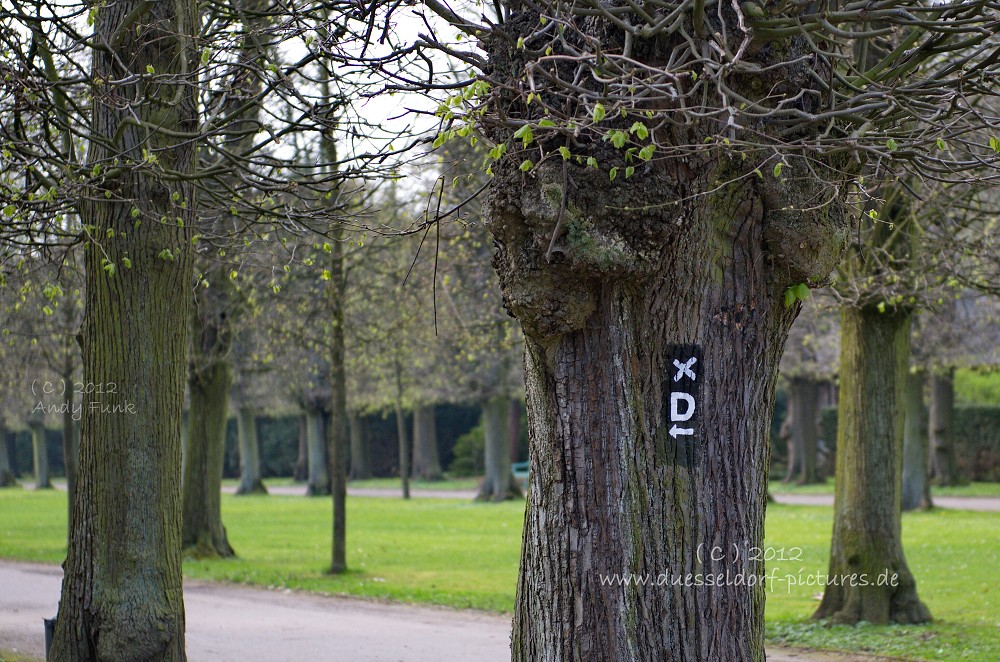 Düsseldorf Benrath Schlosspark