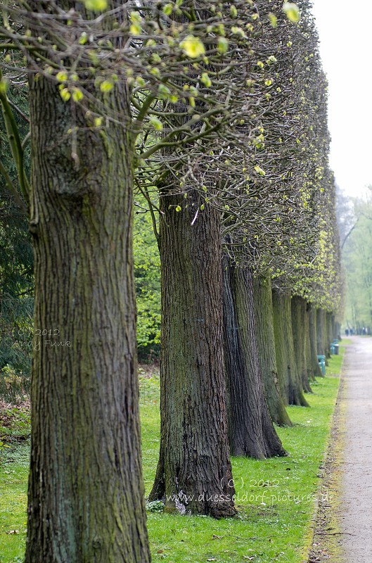 Düsseldorf Benrath Schlosspark