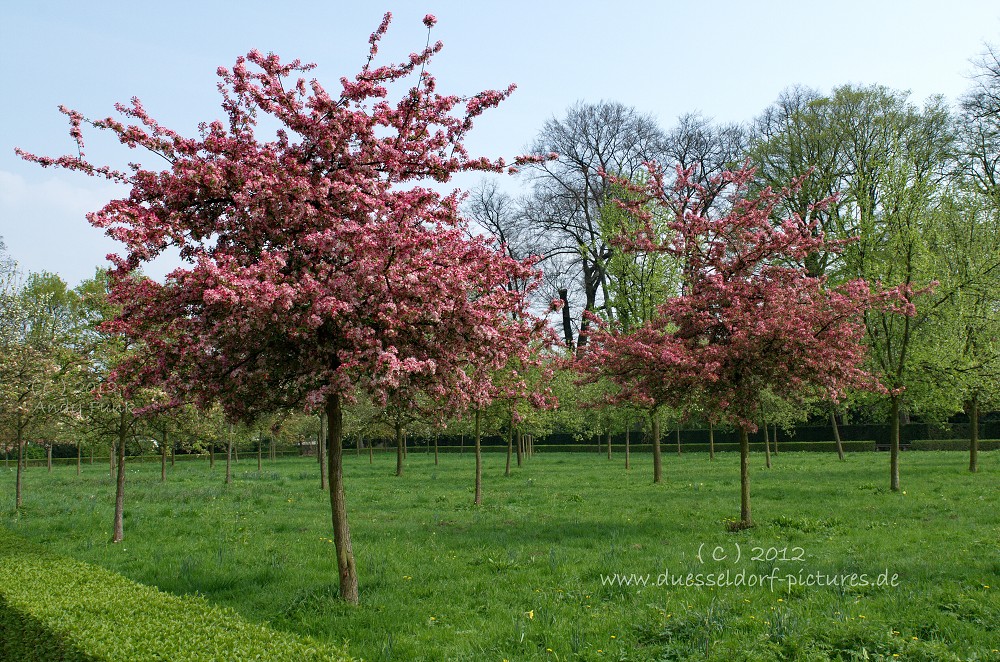 Düsseldorf Benrath Schlosspark