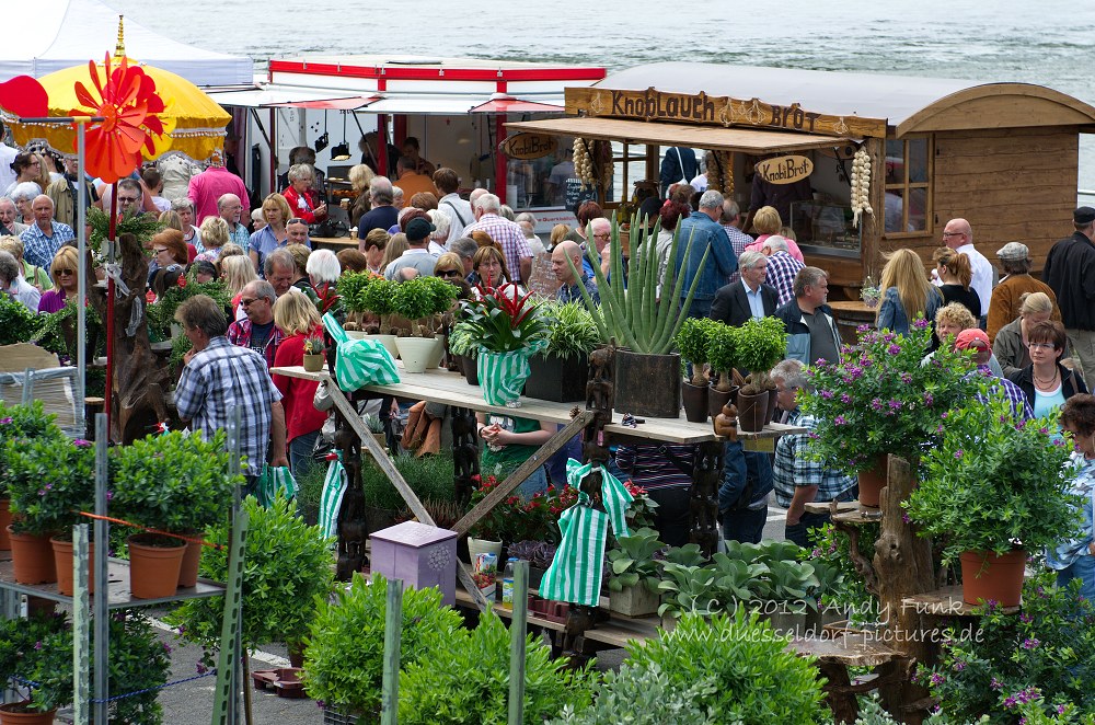 Düsseldorf Fischmarkt