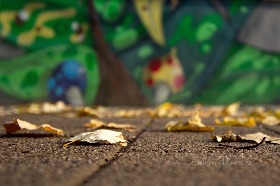 unterwegs in ........ Düsseldorf Flingern ( Herbsstimmung )