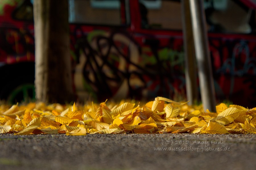 unterwegs in ........ Düsseldorf Flingern ( Herbsstimmung )