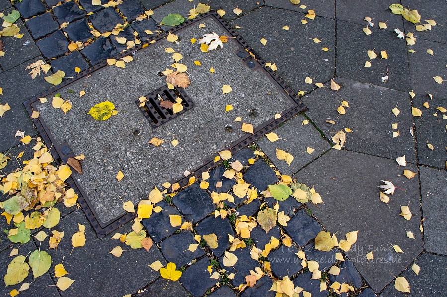 unterwegs in ........ Düsseldorf Flingern ( Herbsstimmung )