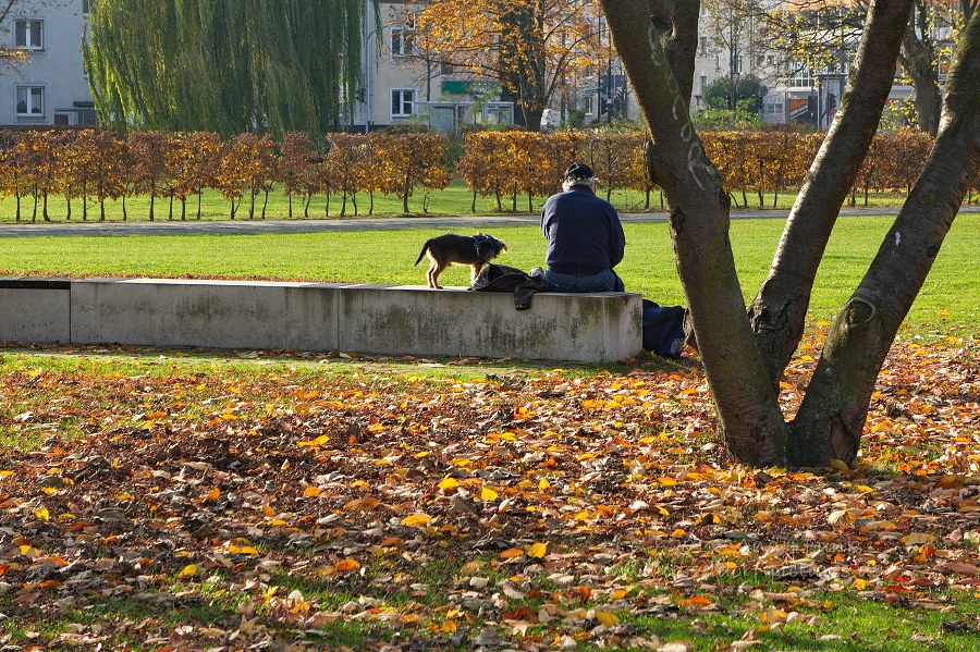 unterwegs in ........ Düsseldorf Flingern ( Herbsstimmung )