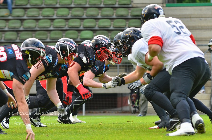 Cologne Falcons - Düsseldorf Panther 38 - 16 12.05.2013