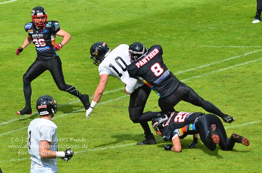 Cologne Falcons - Düsseldorf Panther 38 - 16 12.05.2013