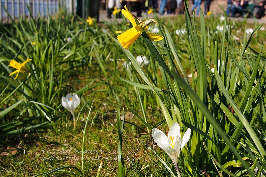 Düsseldorf Kaiserswerth April 2013