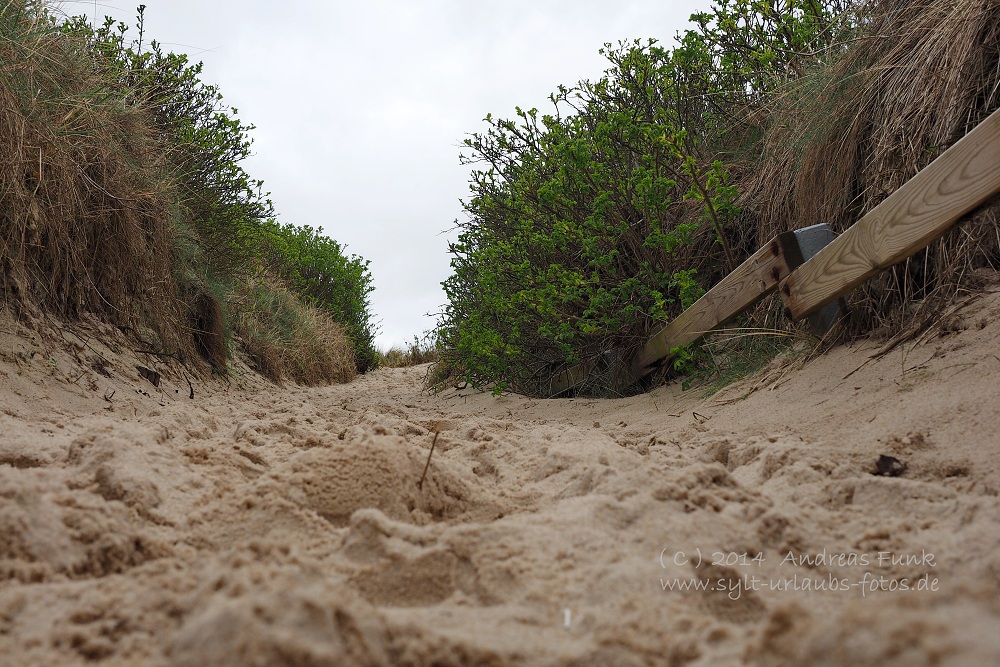 Sylt April 2014 
