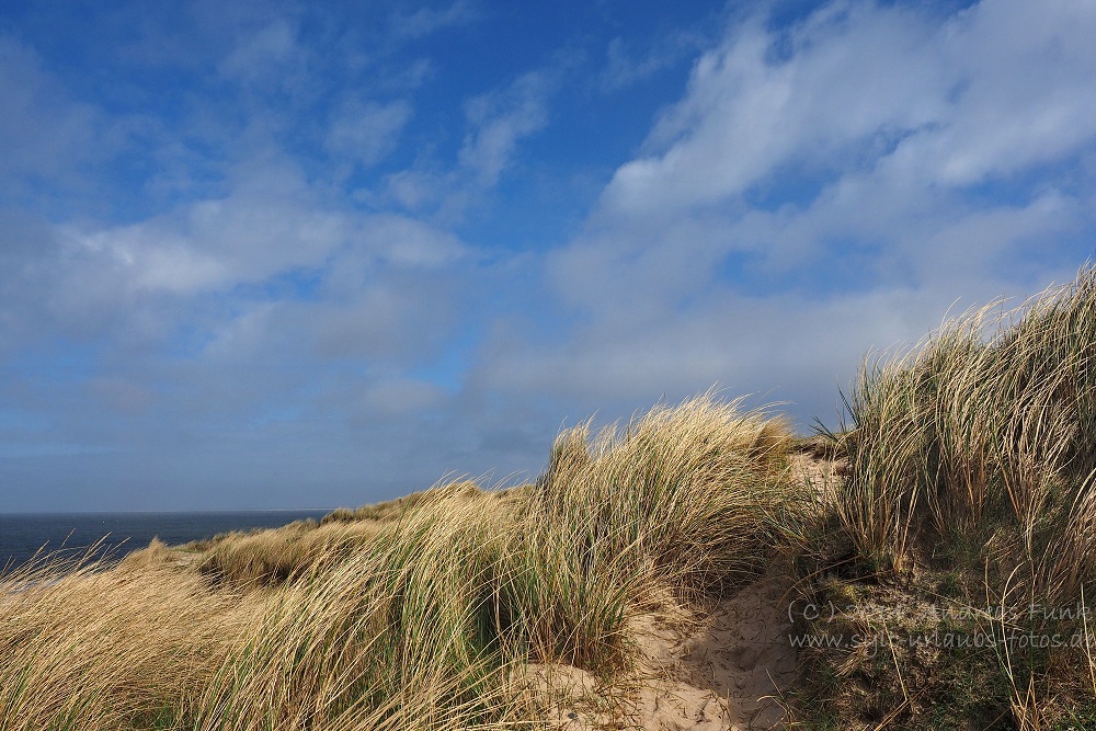 Sylt April 2014 