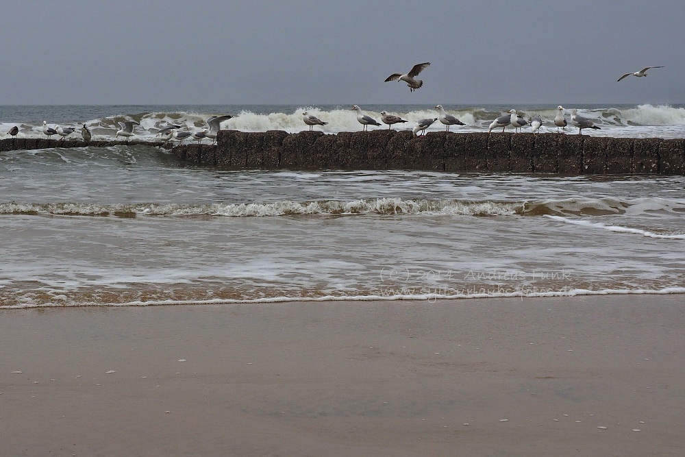 Sylt April 2014 
