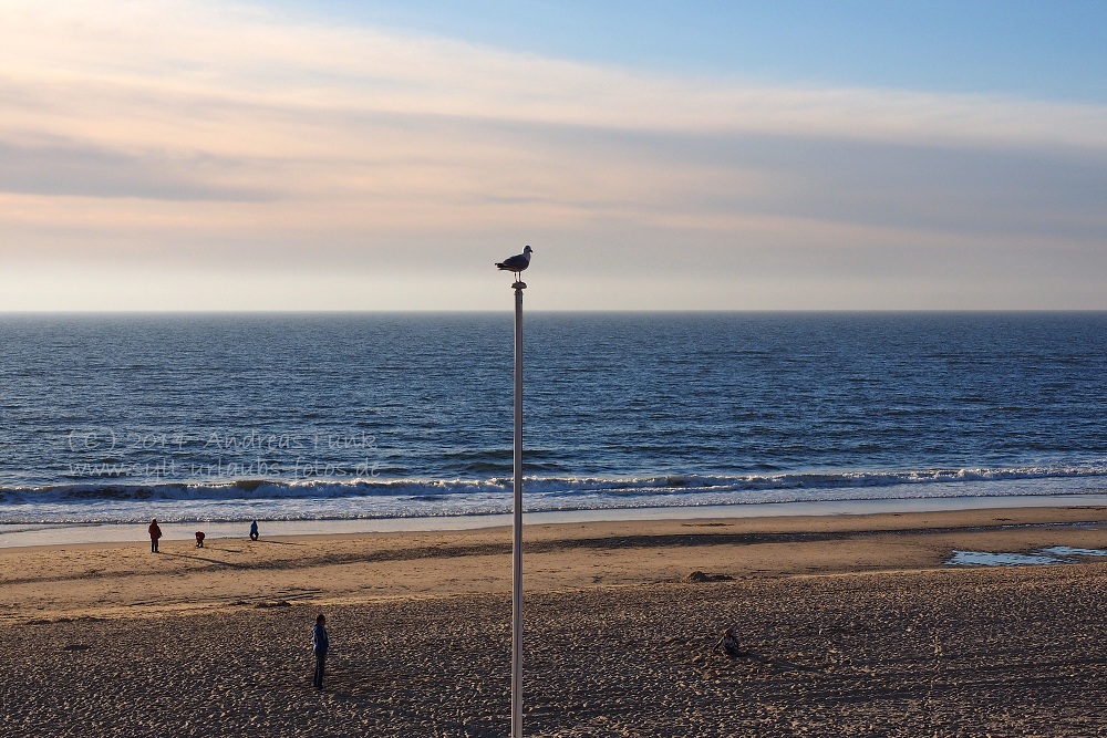 Sylt April 2014 