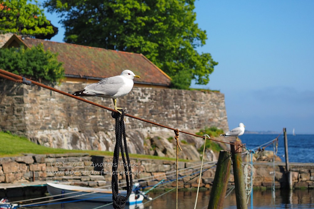 Kristiansand Norwegen