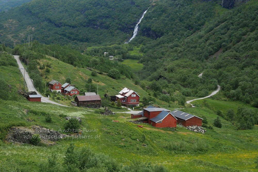 Fahrt mit der Flam Bahn nach Myrdal ( Norwegen )