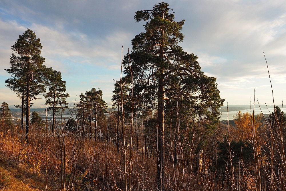 Norwegen Oslo Holmenkollen
