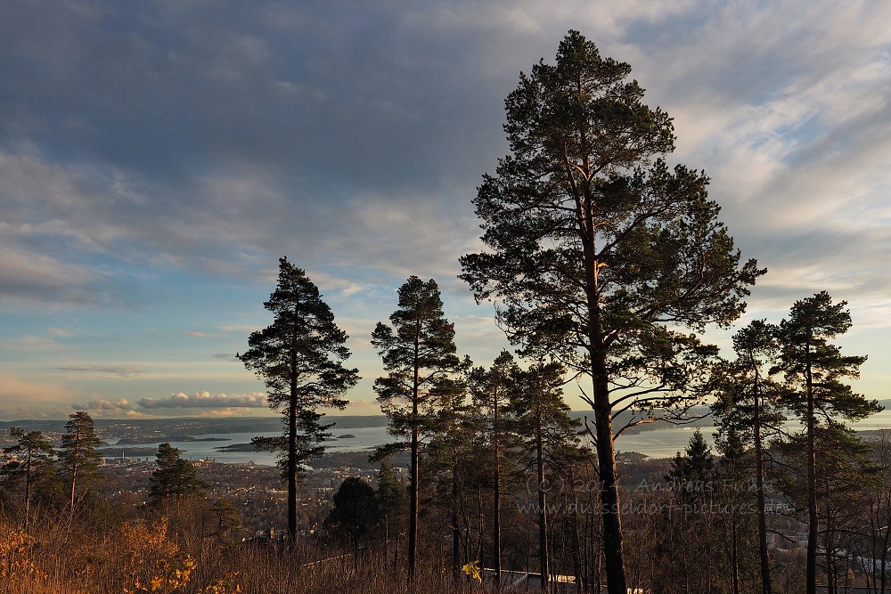Norwegen Oslo Holmenkollen