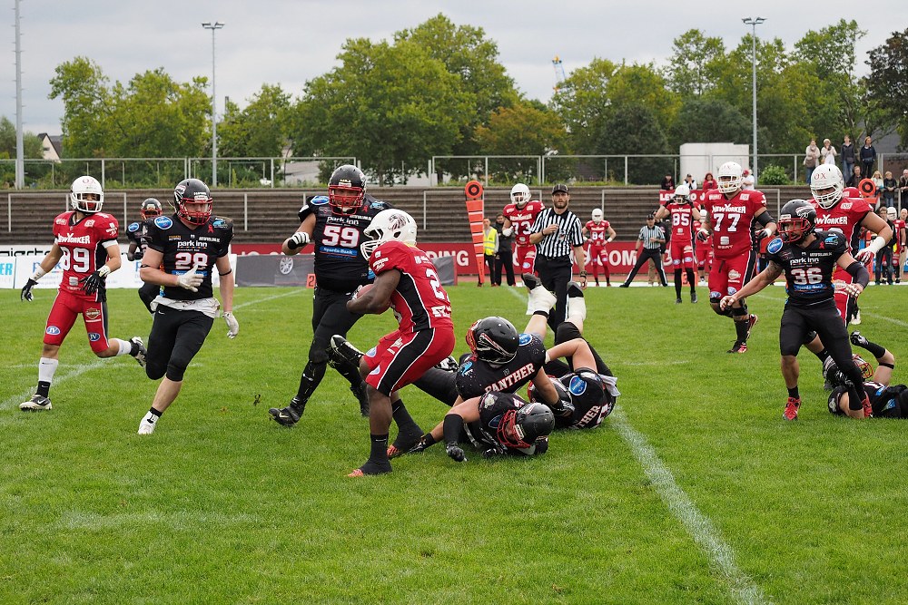 Panther - Lions 30.08.2014