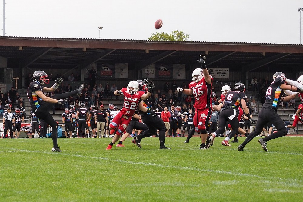 Panther - Lions 30.08.2014