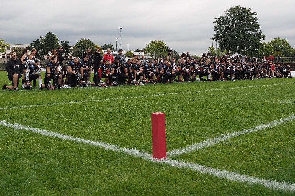 Panther - Lions 30.08.2014