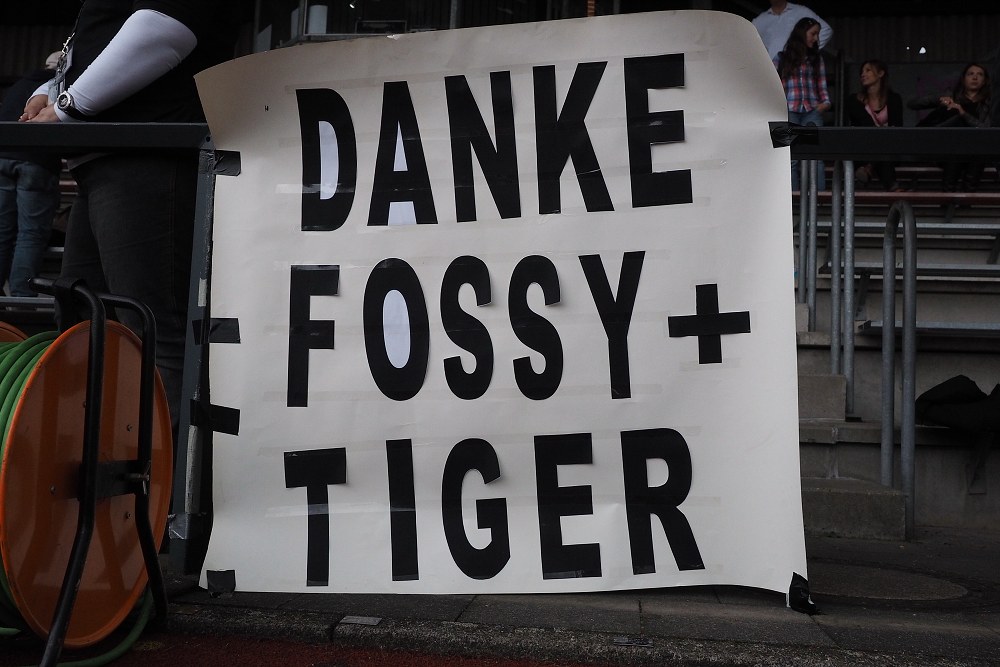 Panther - Lions 30.08.2014