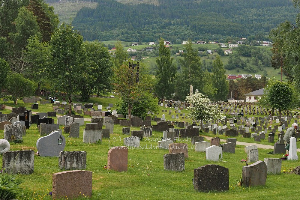 Flam, Voss, Tvindefossen, Gudvangen Fjordtell Norwegen