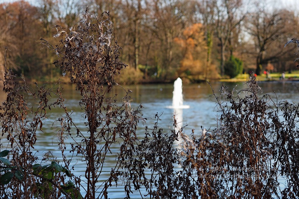 Düsseldorf Volksgarten 01.02.2014