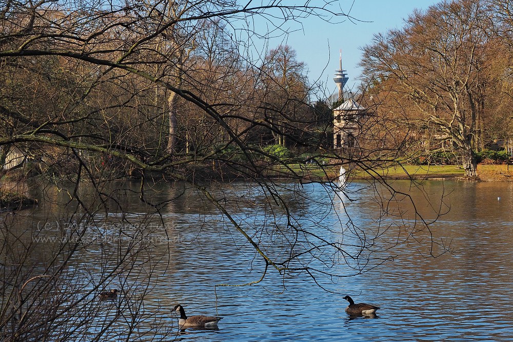 Düsseldorf Volksgarten 01.02.2014