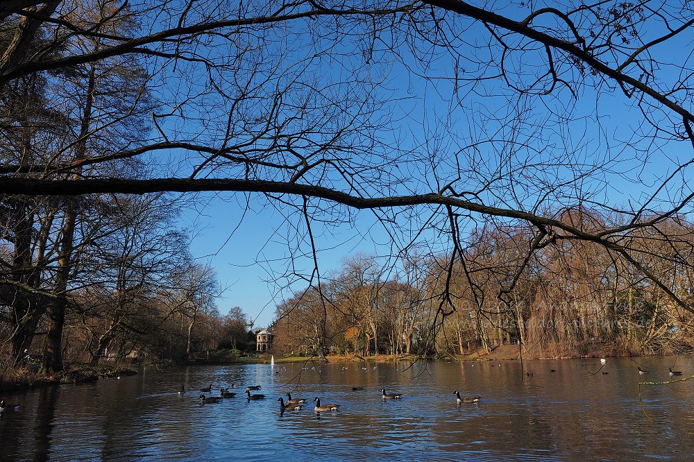 Düsseldorf Volksgarten 01.02.2014