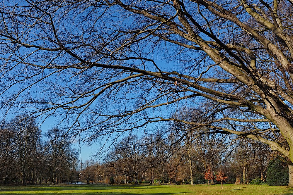 Düsseldorf Volksgarten 01.02.2014