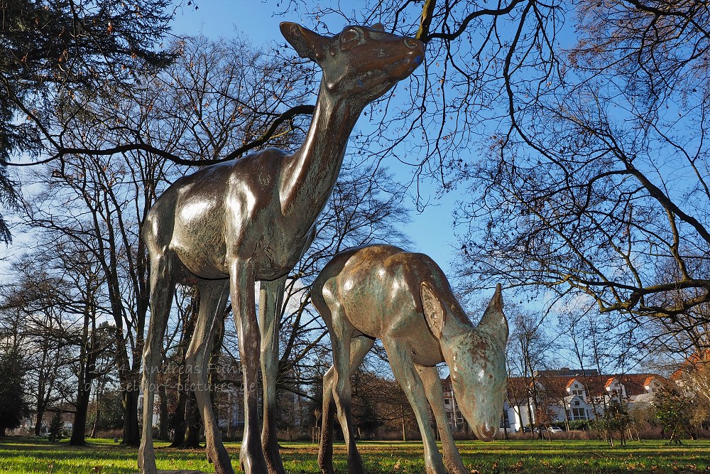 Düsseldorf Volksgarten 01.02.2014