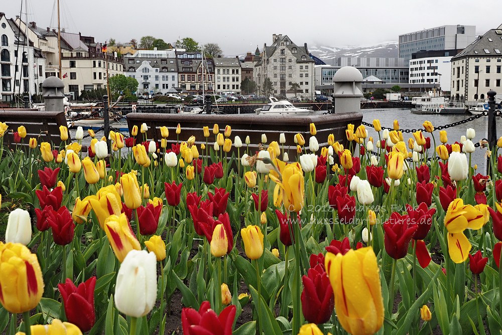 Alesund Norwegen 2015