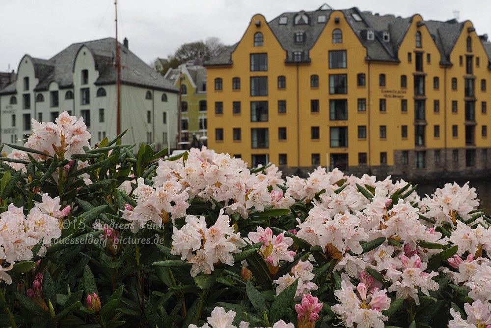 Alesund Norwegen 2015