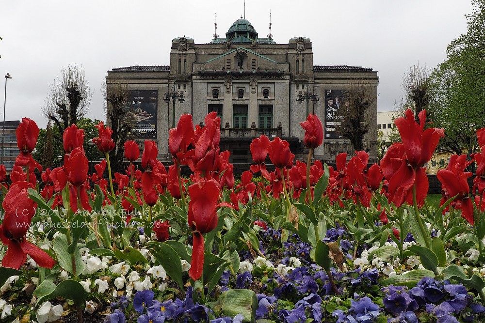 Bergen Norwegen 2015