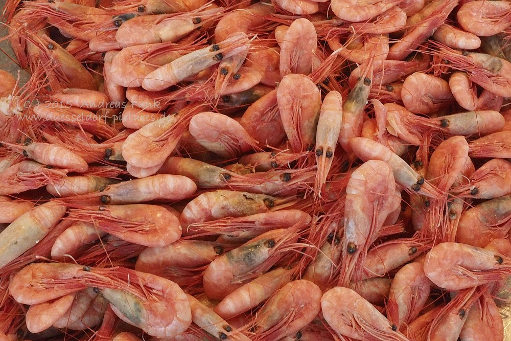 Bergen Norwegen 2015