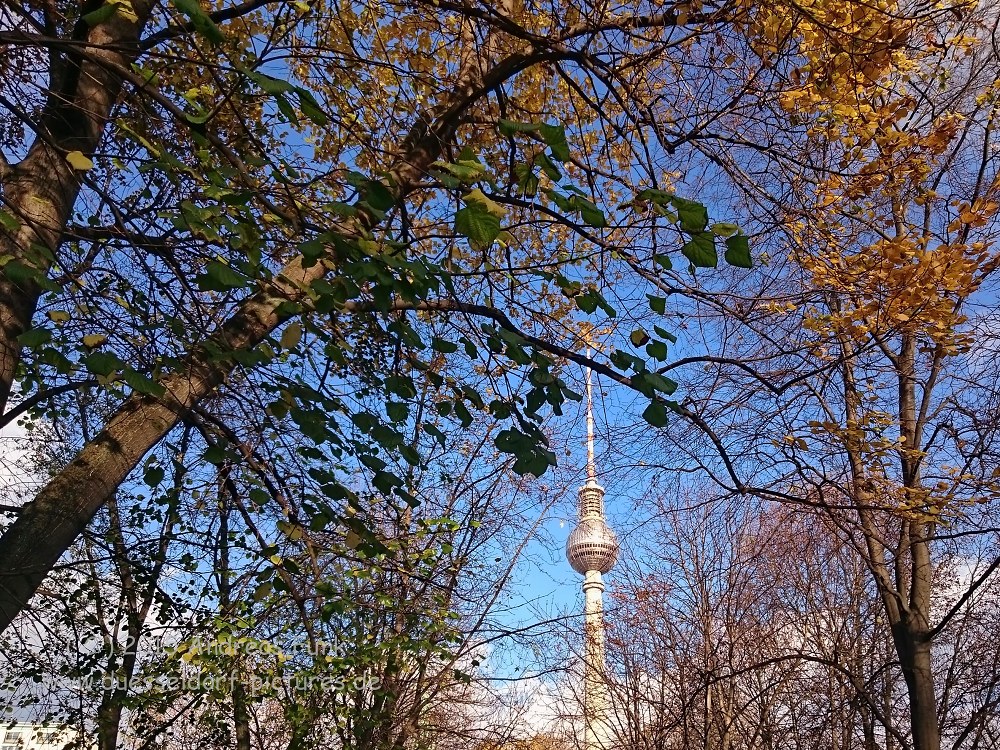 Berlin November 15  ( Handyfotos )