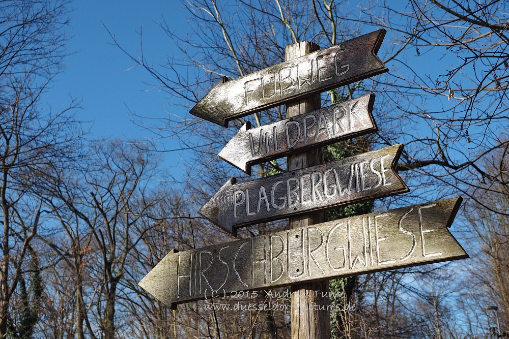 Wildpark im Grafenberger Wald Düsseldorf