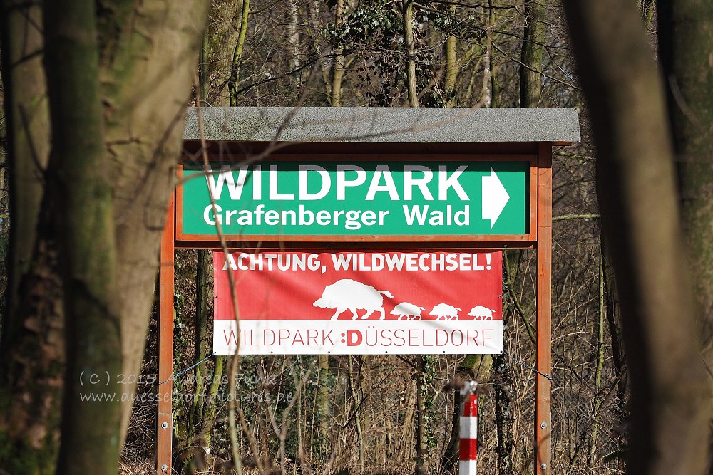 Wildpark im Grafenberger Wald Düsseldorf