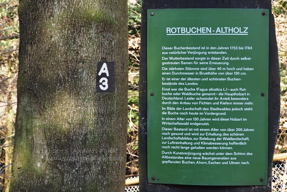 Wildpark im Grafenberger Wald Düsseldorf
