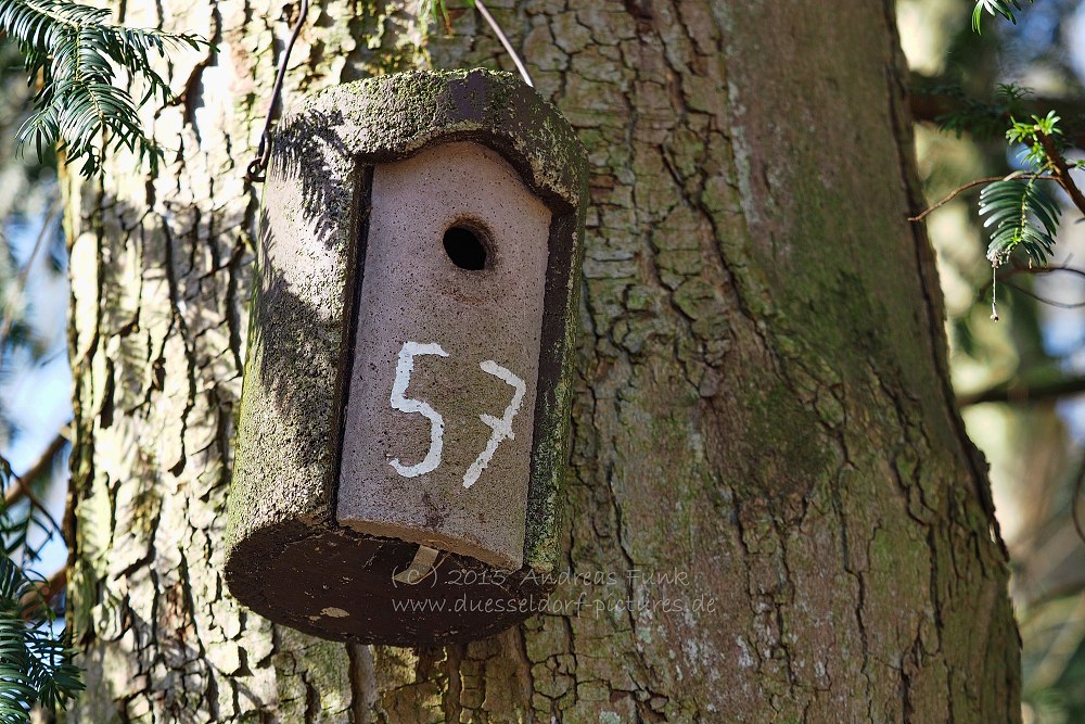 Wildpark im Grafenberger Wald Düsseldorf
