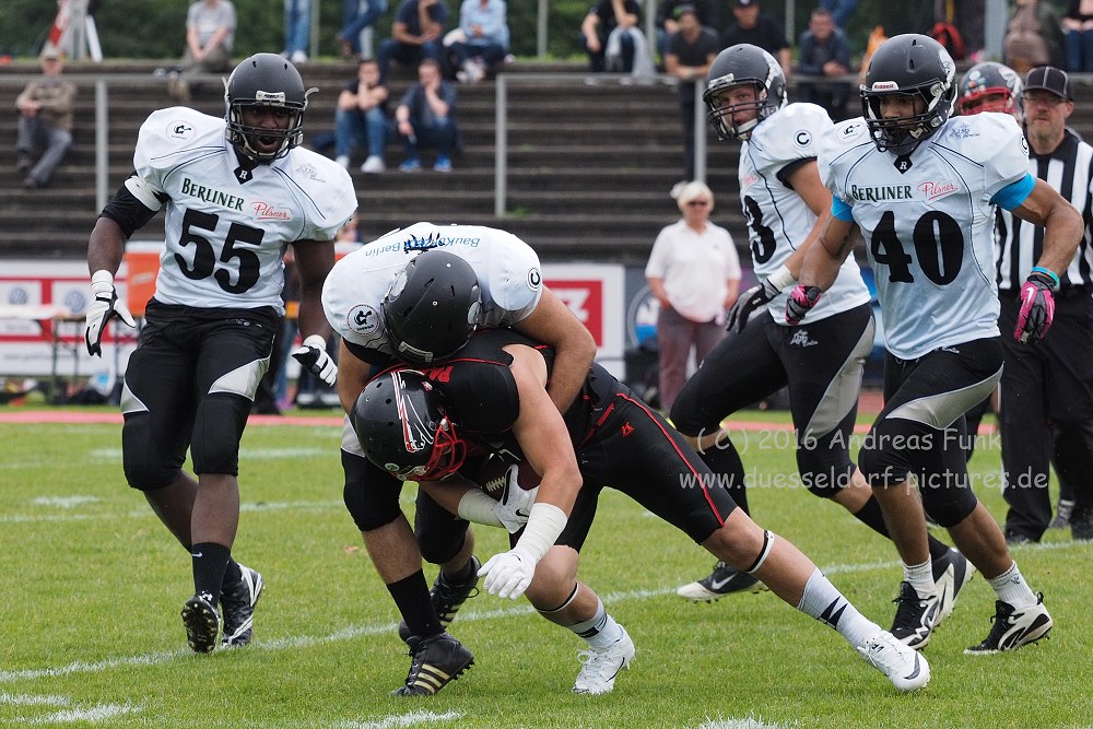 Panther - Berlin Rebels 16.7.16